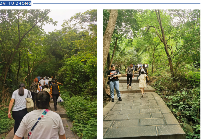 【动态】认真工作,快乐生活——多多28科技六周年登山活动圆满落幕 【动态】认真工作,快乐生活——多多28科技六周年登山活动圆满落幕